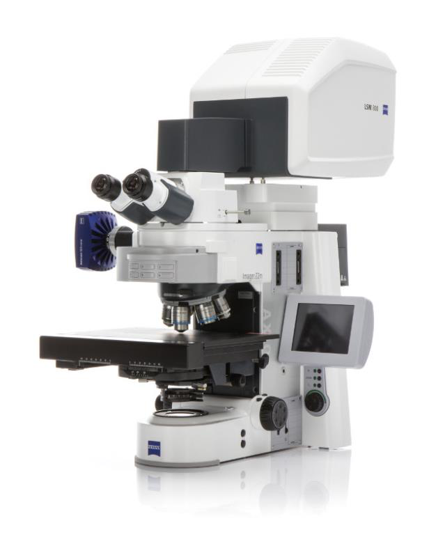 激光共聚焦显微镜LSM900